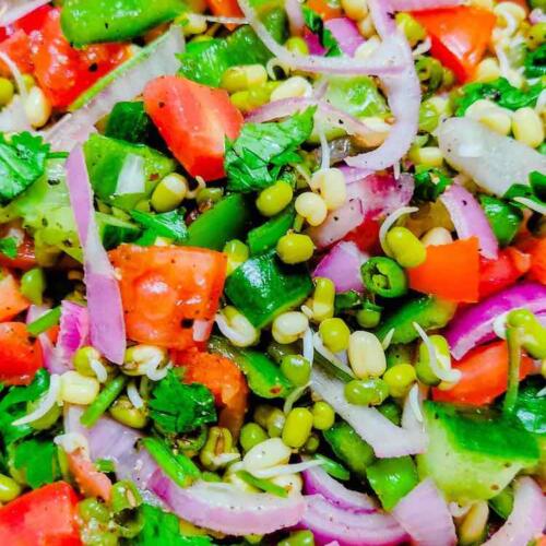Moong Sprout Salad close up photo by homemakerjob.com