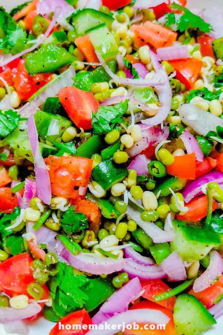 Moong Sprout Salad close up photo by homemakerjob.com