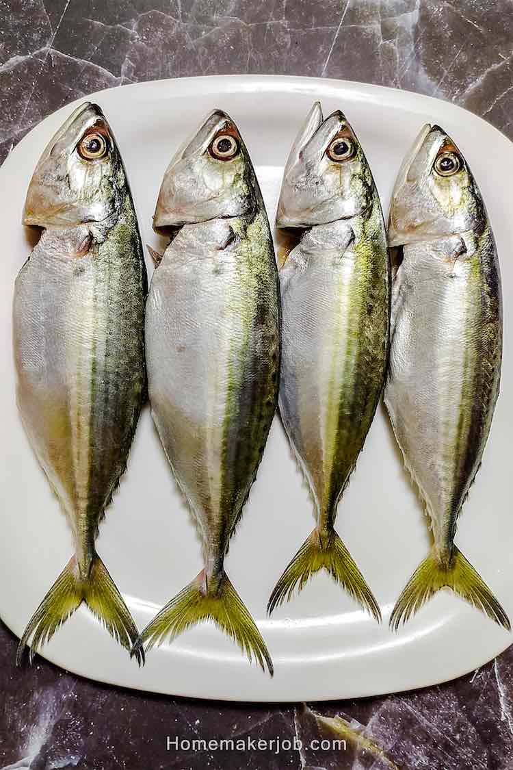 Four fresh bangda fish arranged vertically in a row in a white plate on table, as featured image for an article 'bangda fish' by homemakerjob.com
