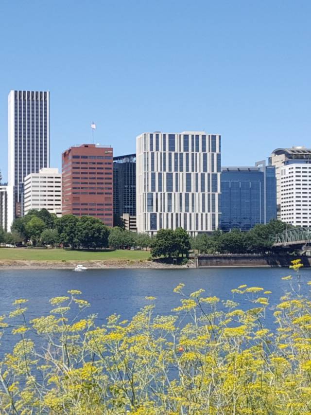 Portland,_Oregon,wikimedia_1 (1) (1)